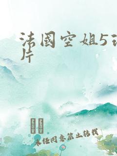 法国空姐5理伦片