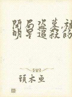 开局盗墓,被女明星追杀的小说