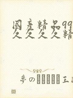 国产精品99久久久久久精品