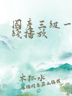 国产三级一区在线播放