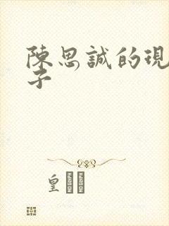 陈思诚的现任妻子