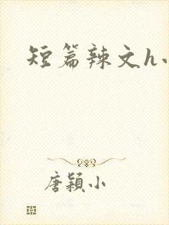 短篇辣文h小说