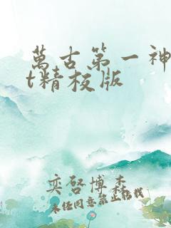万古第一神txt精校版