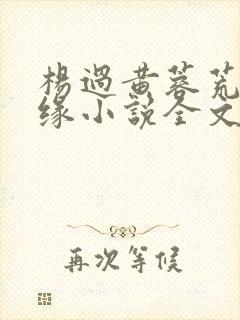 杨过黄蓉荒岛情缘小说全文