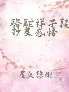 骆驼祥子段落摘抄及感悟