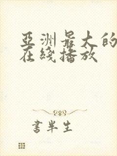 亚洲最大的av在线播放