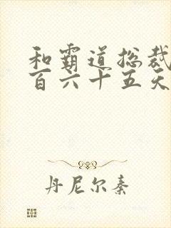 和霸道总裁的三百六十五天第二部