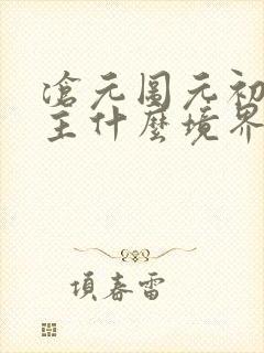 沧元图元初山城主什么境界
