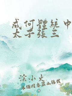 成何体统中的小太子张三