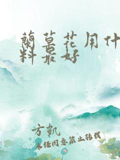 兰草花用什么肥料最好