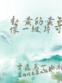 对 黄的黄色录像一级片可以看的