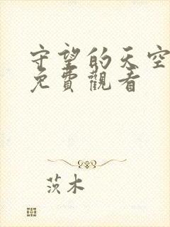 守望的天空全集免费观看