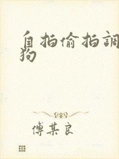 自拍偷拍调教母狗