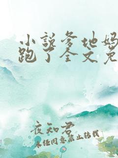 小说爹地妈咪又跑了全文免费阅读