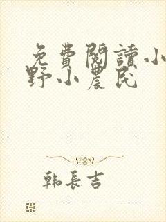 免费阅读小说山野小农民
