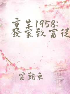 重生1958:发家致富从南锣鼓巷开始大结局