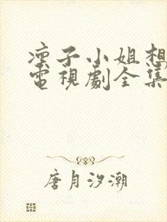 凛子小姐想试试电视剧全集免费观看