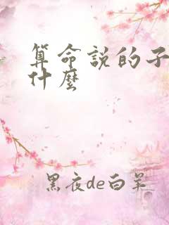 算命说的子运是什么