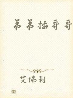 弟弟插哥哥小说
