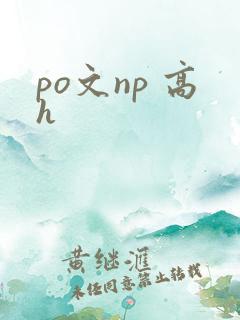 po文np 高h