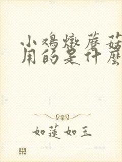 小鸡炖蘑菇最早用的是什么 小鸡炖蘑菇最早用的是什么