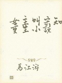 女主叫宋知意的重生小说