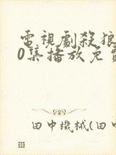 电视剧杀狼花40集播放免费高清