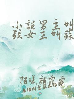 小说男主叫顾北弦女主叫苏o