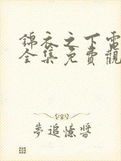 锦衣之下电视剧全集免费观看高清