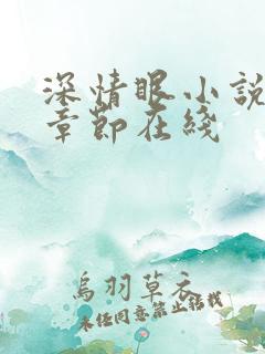 深情眼小说最新章节在线