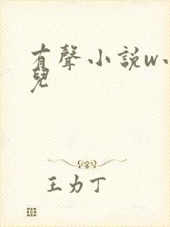 有声小说w小苮儿