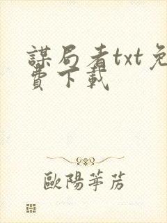 谋局者txt免费下载