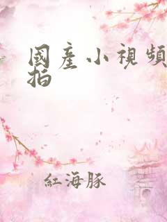 国产小视频 自拍