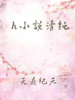 h小说清纯