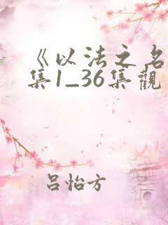 《以法之名》全集1_36集观看
