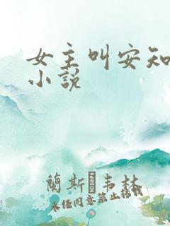 女主叫安知夏的小说
