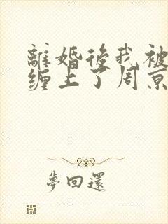 离婚后我被前夫缠上了周京淮在线阅读