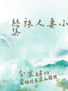 丝袜人妻小说合集