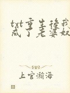 txt重生后我成了老婆奴下载