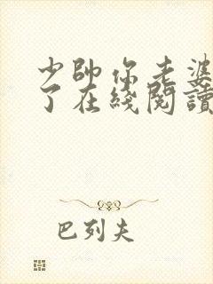 少帅你老婆又跑了在线阅读全文