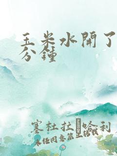 玉米水开了煮几分钟
