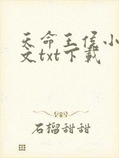 天命王侯小说全文txt下载