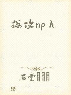 总攻np h