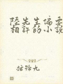 陆先生偏要以婚相许的小说