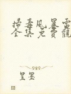 扫毒风暴电视剧全集免费观看高清