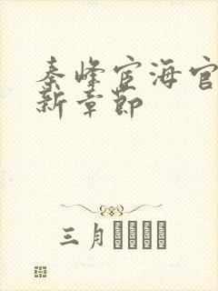 秦峰宦海官途最新章节