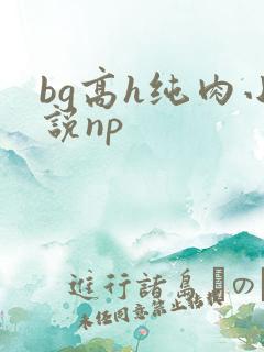 bg高h纯肉小说np