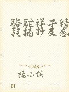 骆驼祥子精彩片段摘抄及感悟