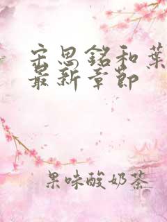 宋思铭和叶如云最新章节