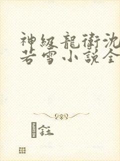 神级龙卫沈浪苏若雪小说全篇